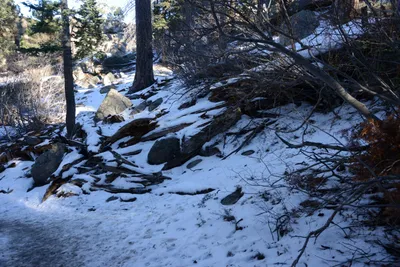 DSC_5202 (Large).JPG